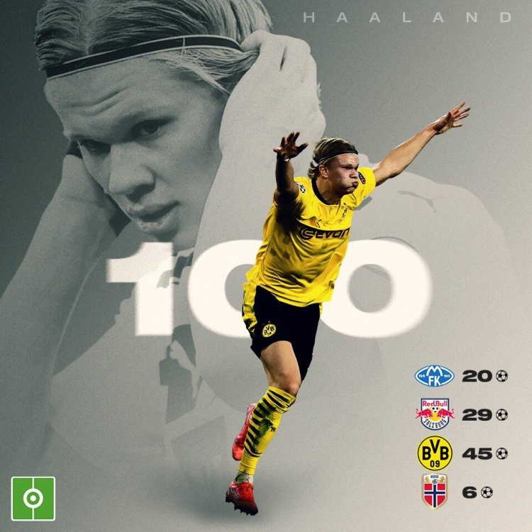 定档2月2 定档2月2